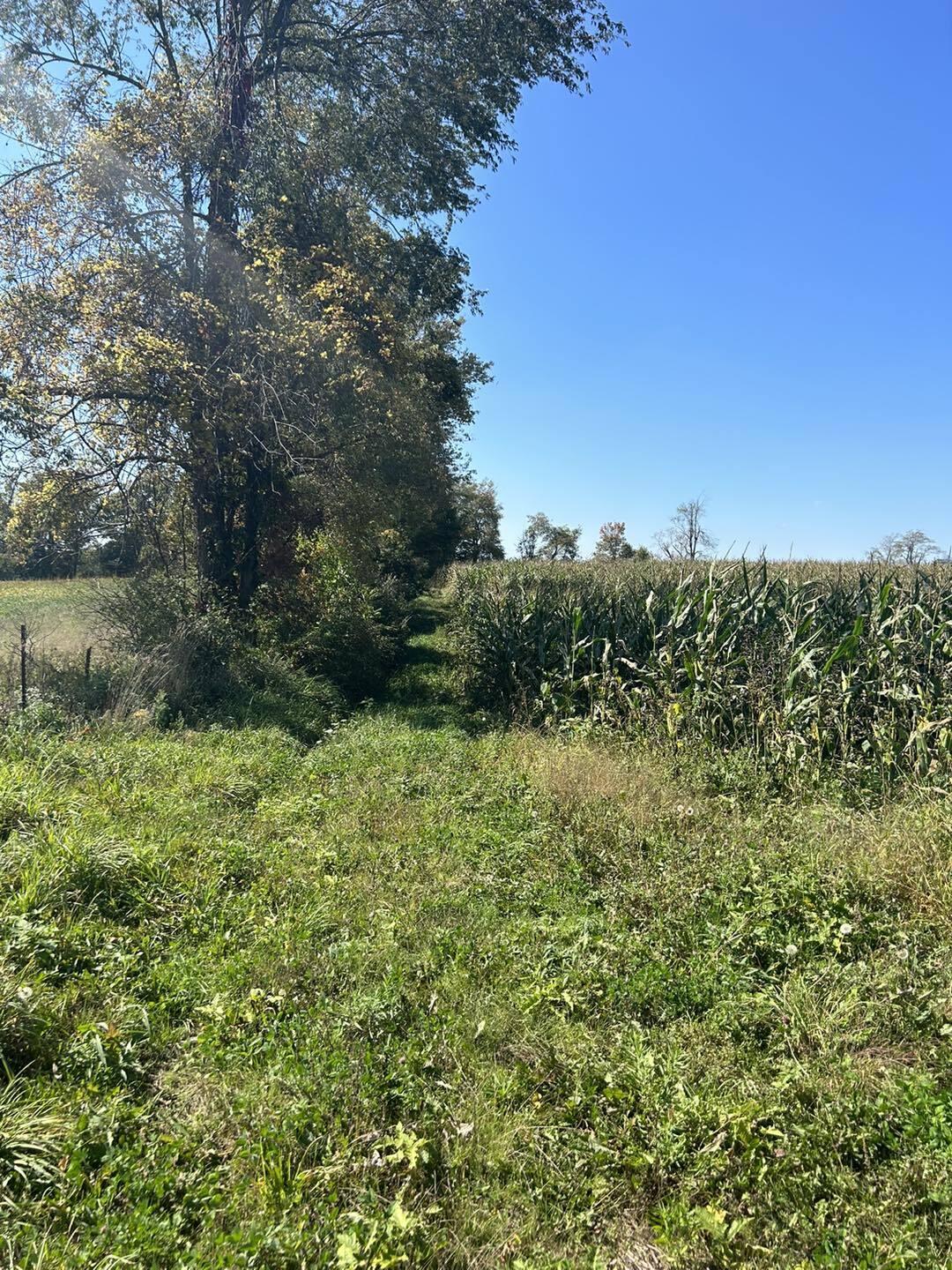 V/l East Bacon Road Pittsford, MI 49271 - Photo 6 of 13 bacon4