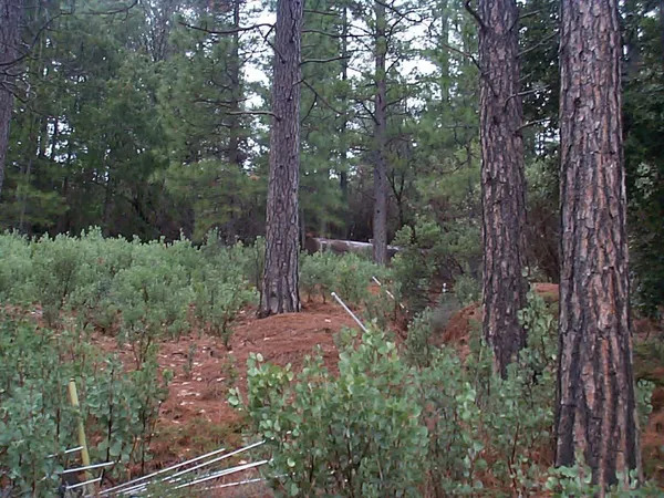 $269,000 | 20550 Grizzly Creek Road, Nevada City, CA 95959