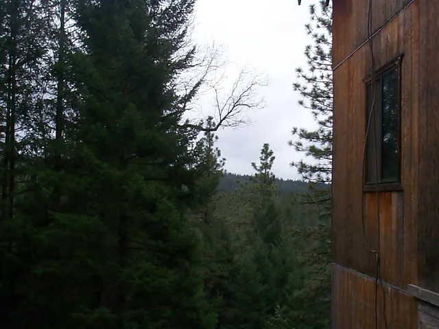 $269,000 | 20550 Grizzly Creek Road, Nevada City, CA 95959