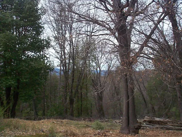 $269,000 | 20550 Grizzly Creek Road, Nevada City, CA 95959