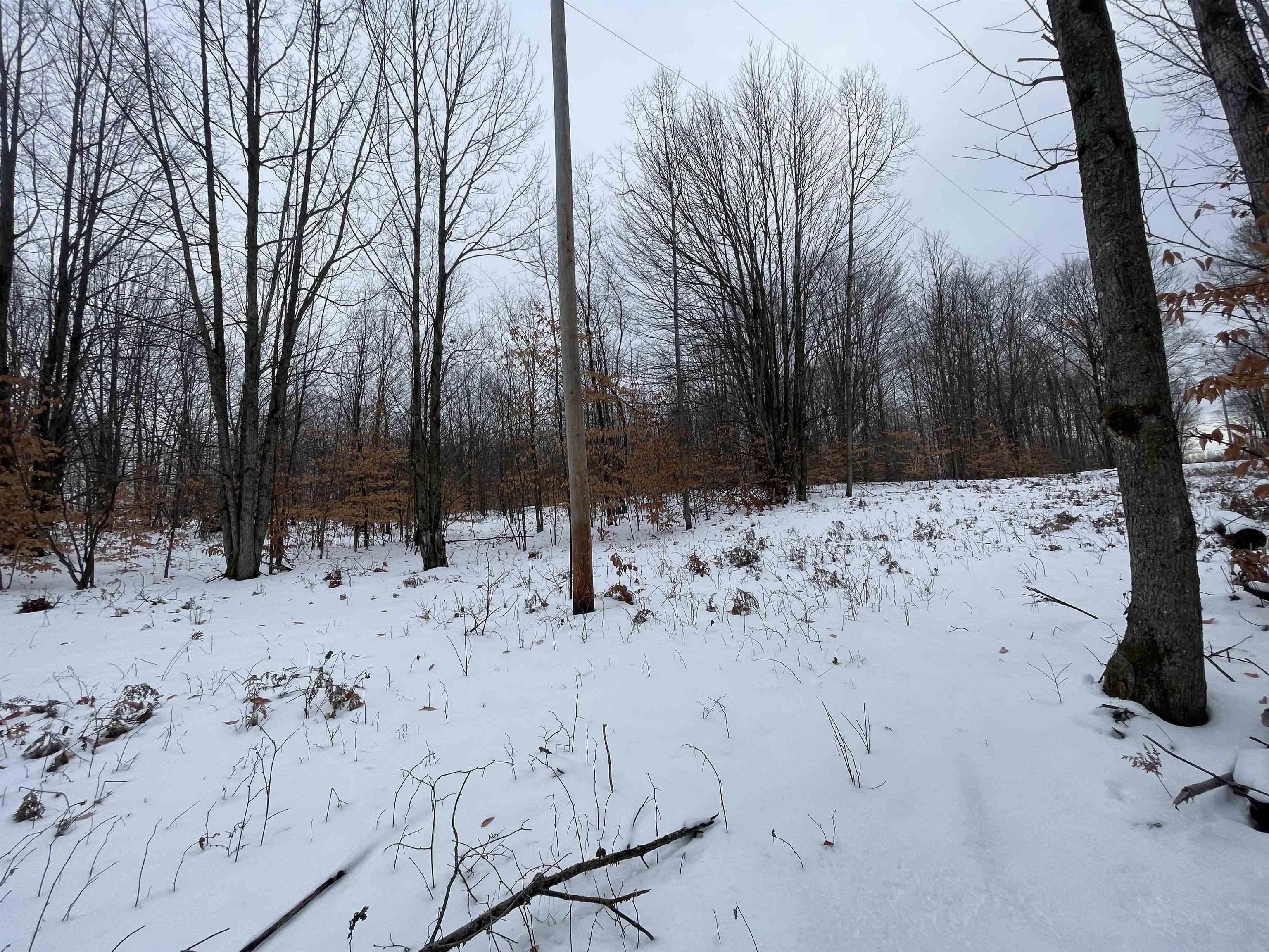 North Turnerville Road Lake City, MI 49651 - Photo 1 of 7