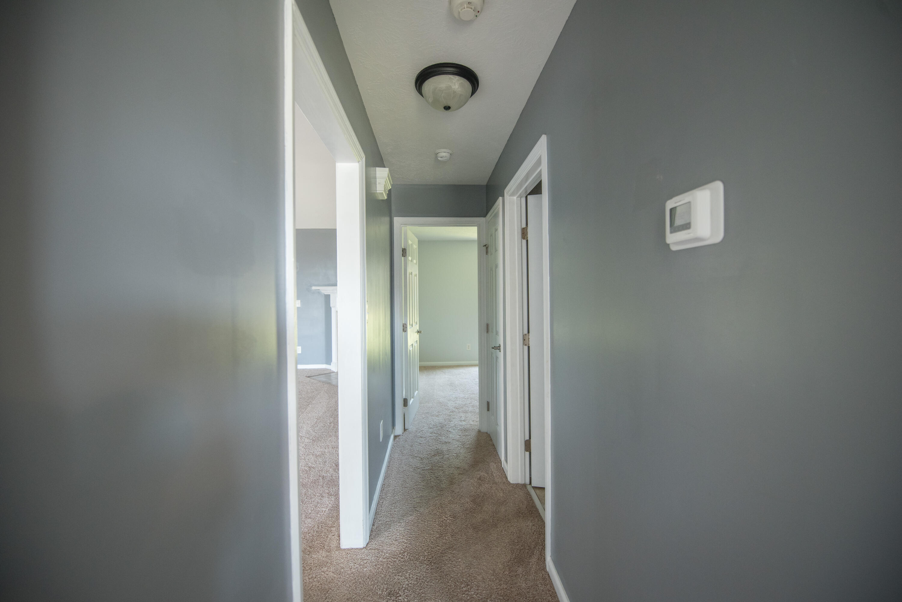 4515 Logans Way Augusta, GA 30909 - Photo 20 of 35 18