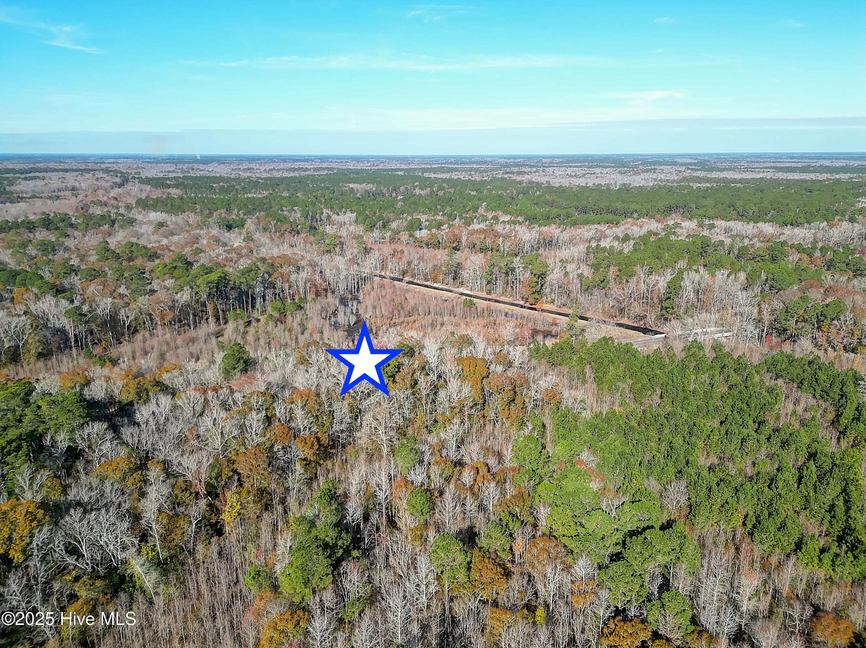 1326 Ash Little River Road Northwest Calabash, NC 28467 - Photo 4 of 19 Wooded Property