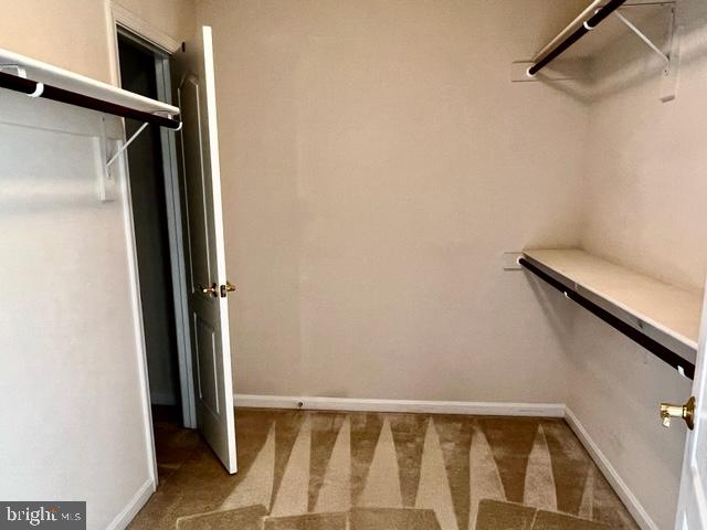 6 Johnson Mill Ridge Fredericksburg, VA 22406 - Photo 26 of 66 Primary Walk in Closet with another closet within