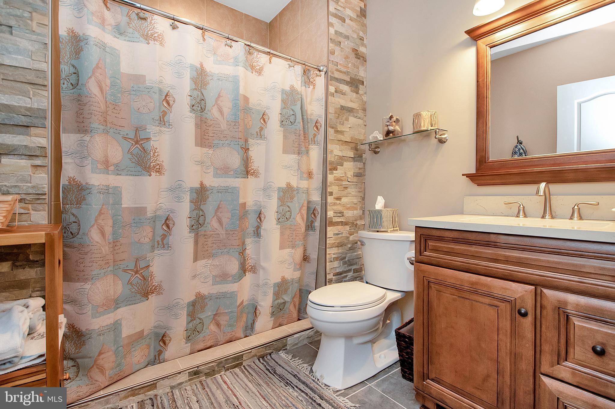 6 Johnson Mill Ridge Fredericksburg, VA 22406 - Photo 54 of 66 Upgraded Basement Bath
