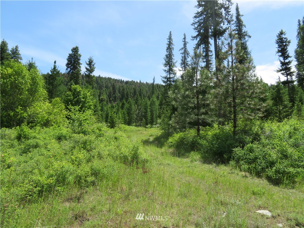 6 Boulder Creek Road Curlew, WA 99118 - Photo 1 of 25 Gallery Image 1