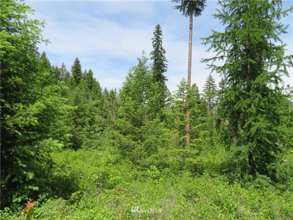 6 Boulder Creek Road Curlew, WA 99118 - Photo 2 of 25 Gallery Image 2