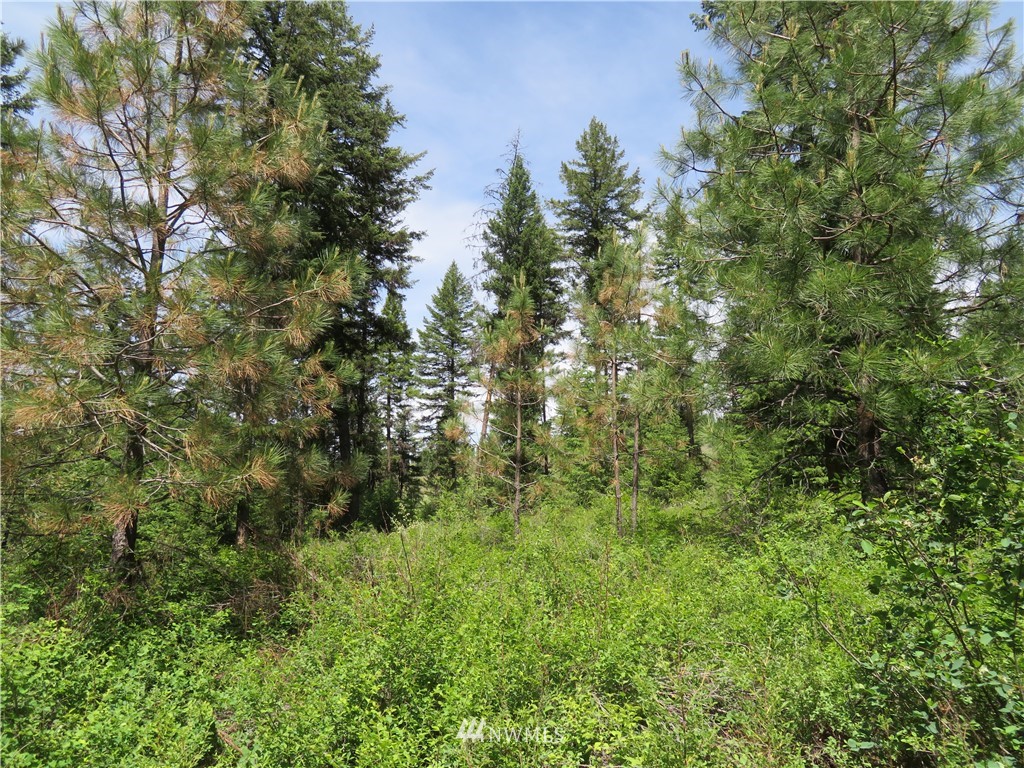 6 Boulder Creek Road Curlew, WA 99118 - Photo 11 of 25 Gallery Image 11