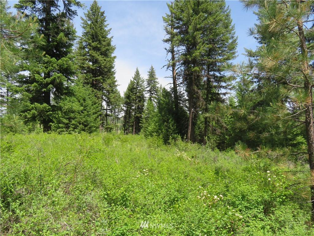 6 Boulder Creek Road Curlew, WA 99118 - Photo 12 of 25 Gallery Image 12