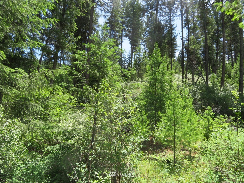 6 Boulder Creek Road Curlew, WA 99118 - Photo 13 of 25 Gallery Image 13