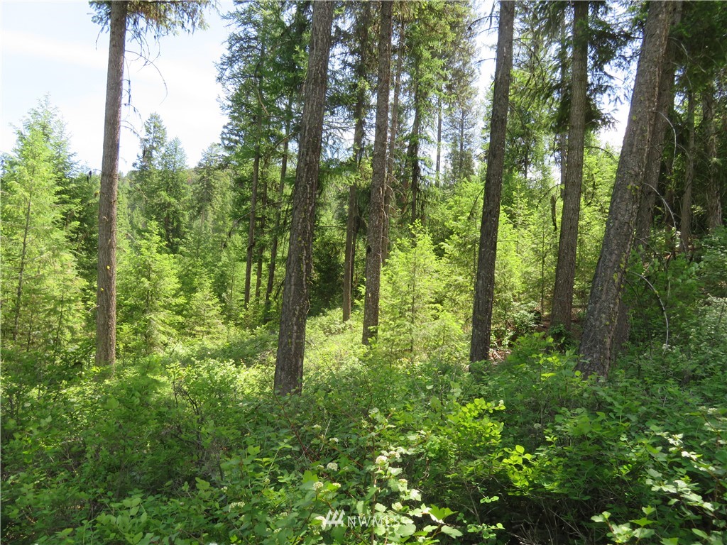 6 Boulder Creek Road Curlew, WA 99118 - Photo 14 of 25 Gallery Image 14