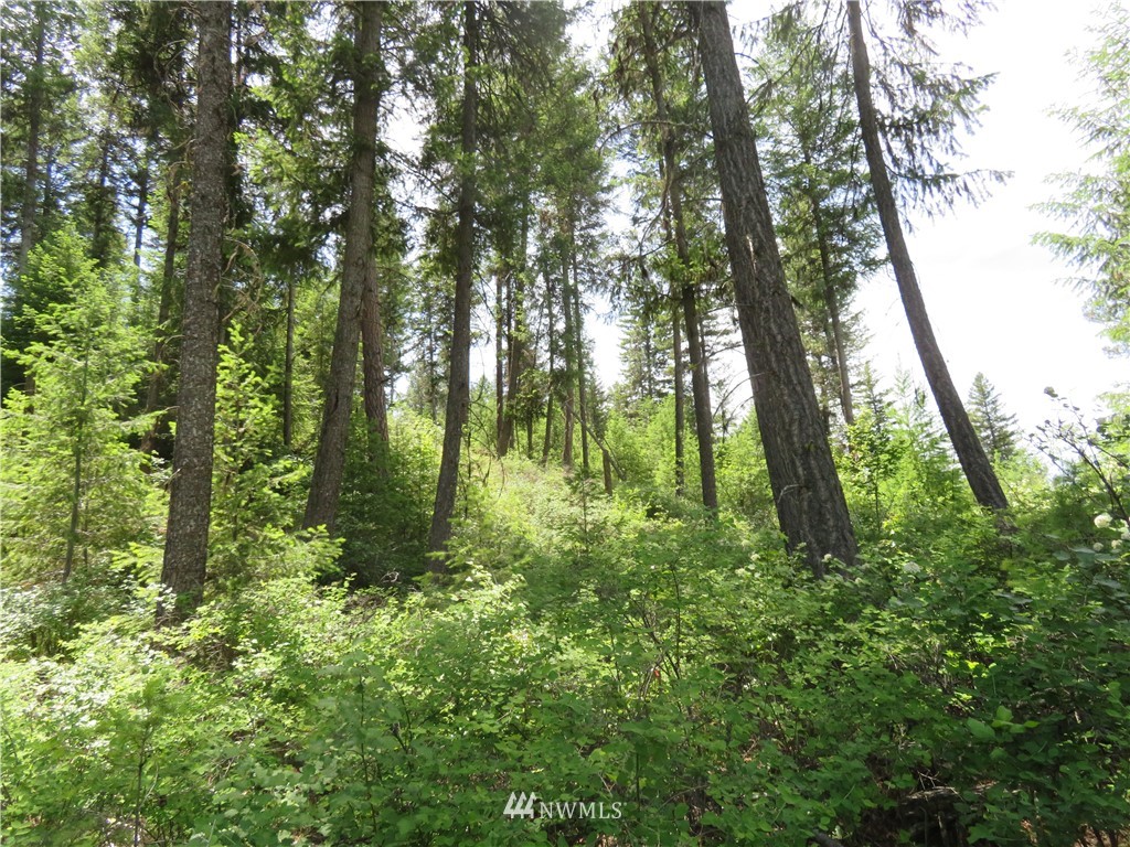 6 Boulder Creek Road Curlew, WA 99118 - Photo 15 of 25 Gallery Image 15