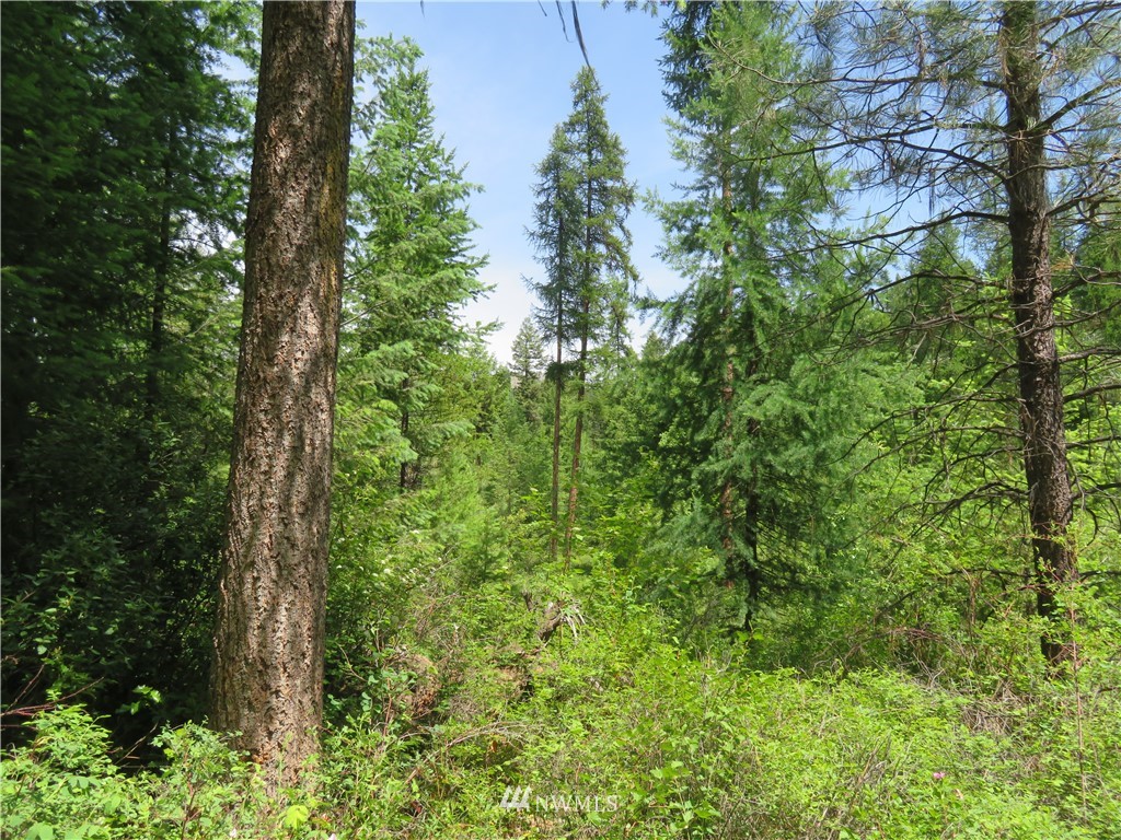 6 Boulder Creek Road Curlew, WA 99118 - Photo 16 of 25 Gallery Image 16