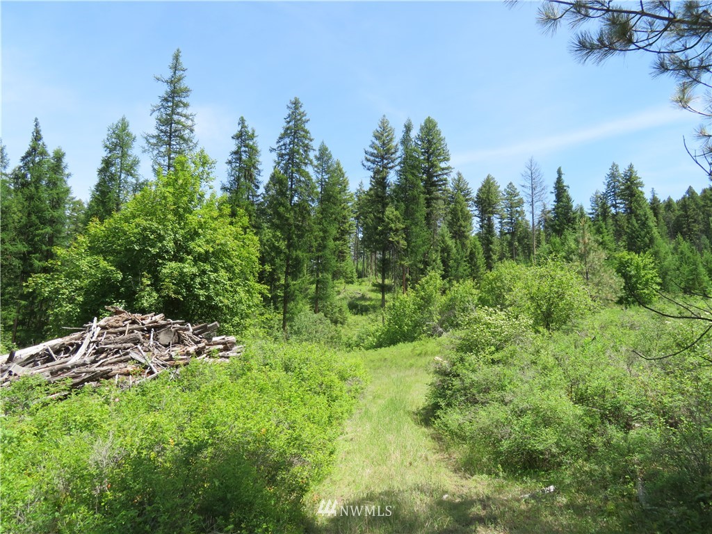 6 Boulder Creek Road Curlew, WA 99118 - Photo 17 of 25 Gallery Image 17