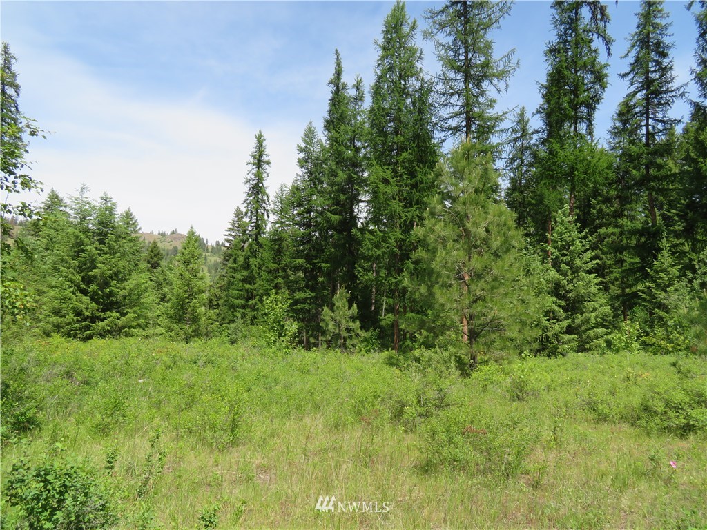 6 Boulder Creek Road Curlew, WA 99118 - Photo 18 of 25 Gallery Image 18