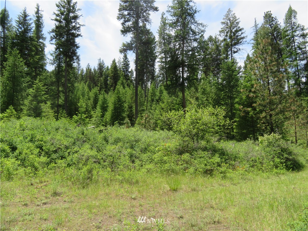 6 Boulder Creek Road Curlew, WA 99118 - Photo 19 of 25 Gallery Image 19
