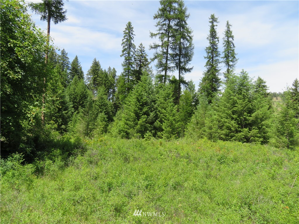 6 Boulder Creek Road Curlew, WA 99118 - Photo 20 of 25 Gallery Image 20