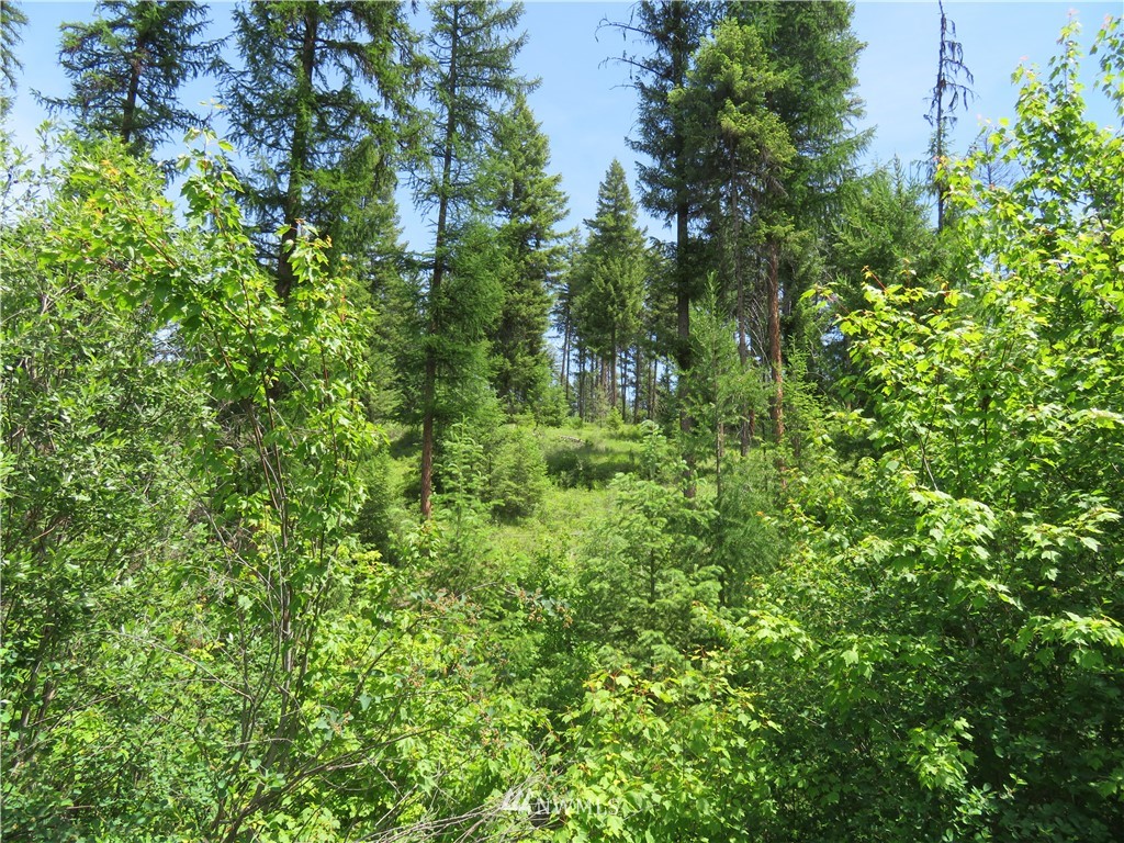 6 Boulder Creek Road Curlew, WA 99118 - Photo 21 of 25 Gallery Image 21