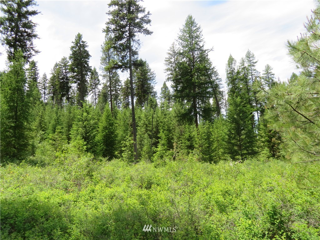 6 Boulder Creek Road Curlew, WA 99118 - Photo 22 of 25 Gallery Image 22