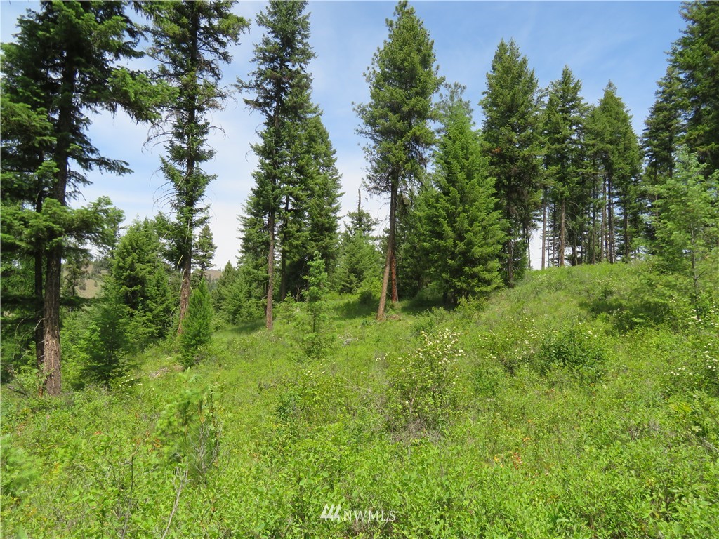 6 Boulder Creek Road Curlew, WA 99118 - Photo 23 of 25 Gallery Image 23