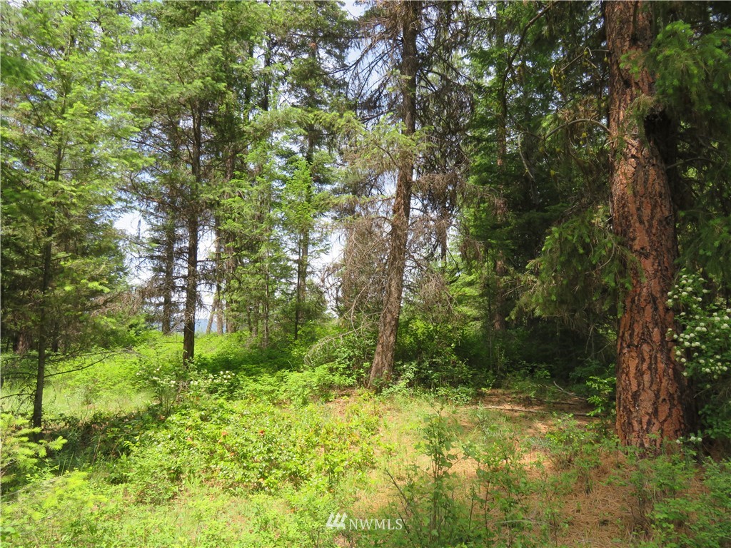 6 Boulder Creek Road Curlew, WA 99118 - Photo 4 of 25 Gallery Image 4