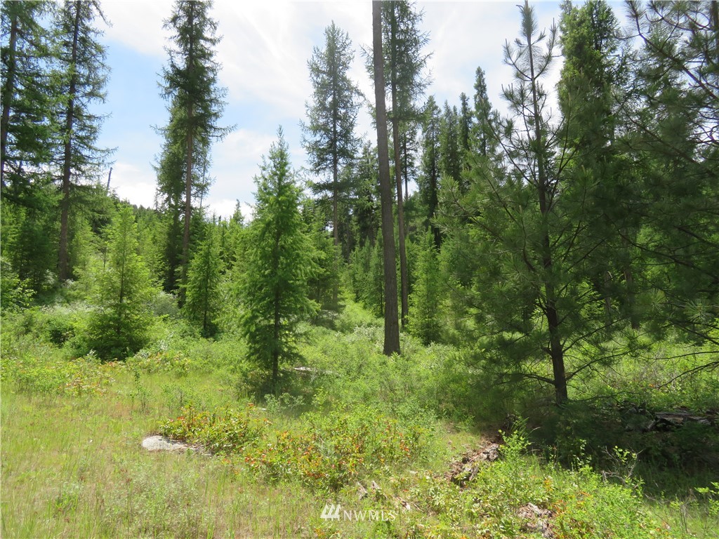 6 Boulder Creek Road Curlew, WA 99118 - Photo 7 of 25 Gallery Image 7