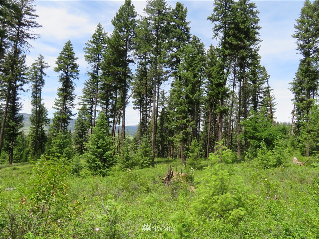 6 Boulder Creek Road Curlew, WA 99118 - Photo 8 of 25 Gallery Image 8