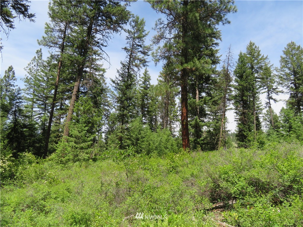 6 Boulder Creek Road Curlew, WA 99118 - Photo 9 of 25 Gallery Image 9