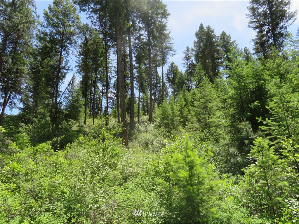 6 Boulder Creek Road Curlew, WA 99118 - Photo 10 of 25 Gallery Image 10