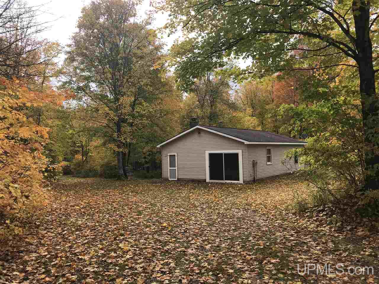 E4683 South Samuelson Road Chatham, MI 49816 - Photo 2 of 12 Gallery Image 2