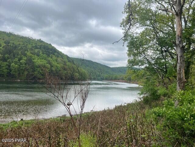 Lot 1 Warren Road Hancock, NY 13783 - Photo 8 of 29