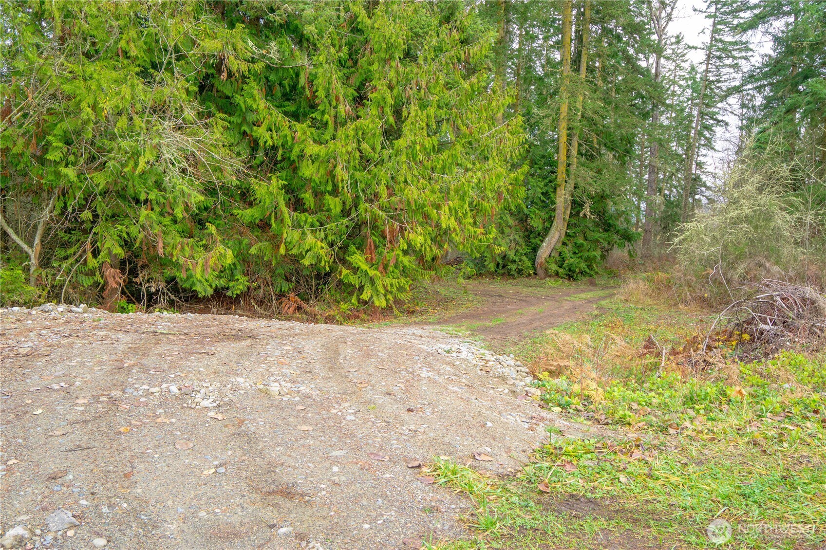 -nka Atterberry Road Sequim, WA 98382 - Photo 13 of 31 a view of a yard with a tree