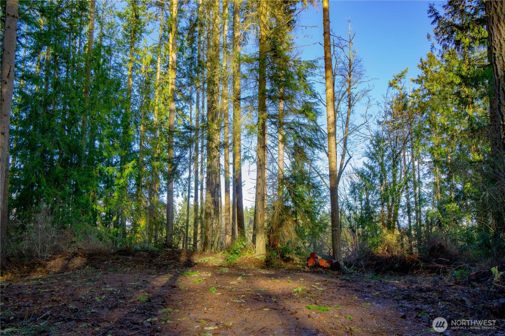 -nka Atterberry Road Sequim, WA 98382 - Photo 14 of 31 a view of outdoor space with trees