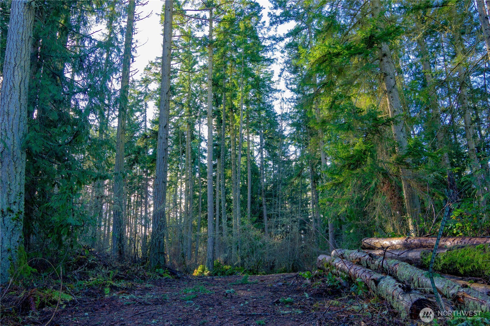 -nka Atterberry Road Sequim, WA 98382 - Photo 18 of 31 a view of backyard with green space