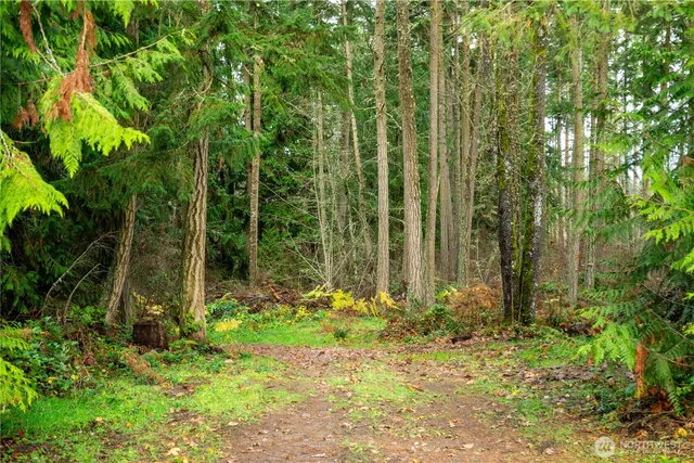 a view of outdoor space and garden