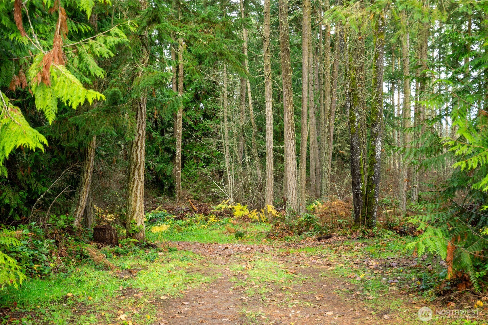 -nka Atterberry Road Sequim, WA 98382 - Photo 20 of 31 a view of outdoor space and garden