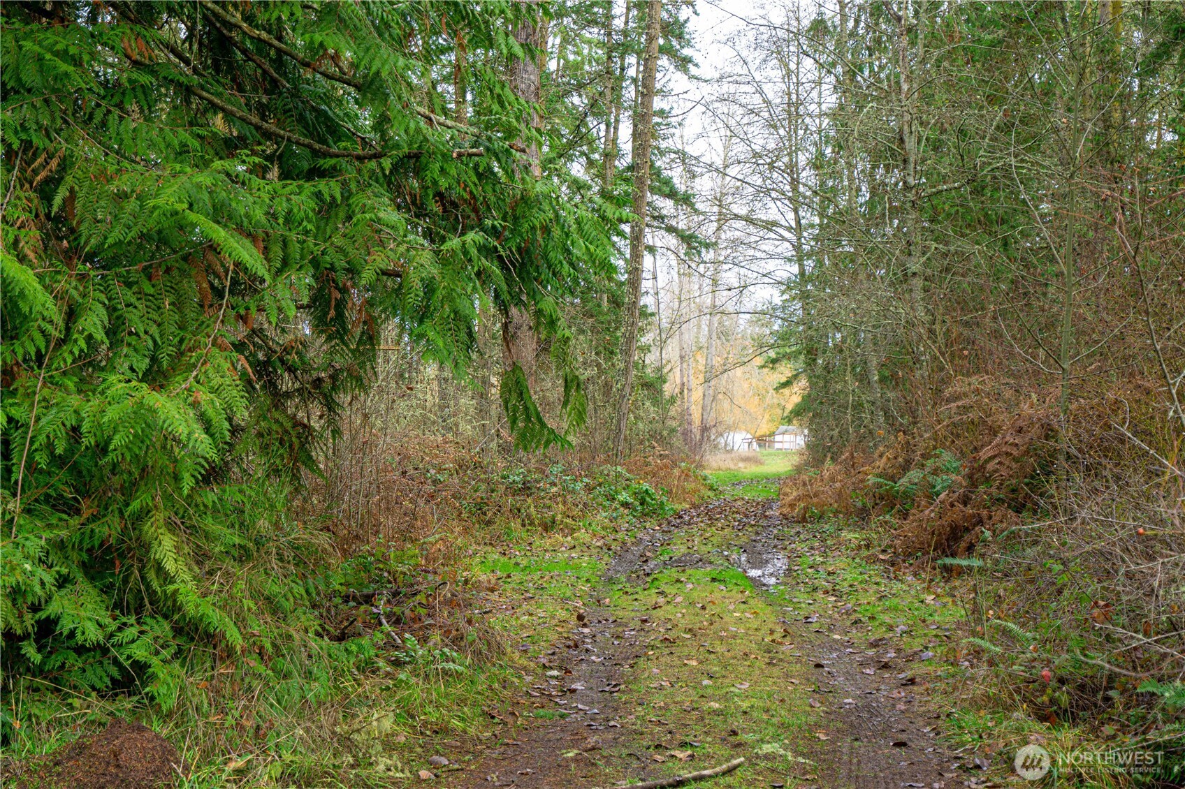 -nka Atterberry Road Sequim, WA 98382 - Photo 21 of 31 a view of a yard