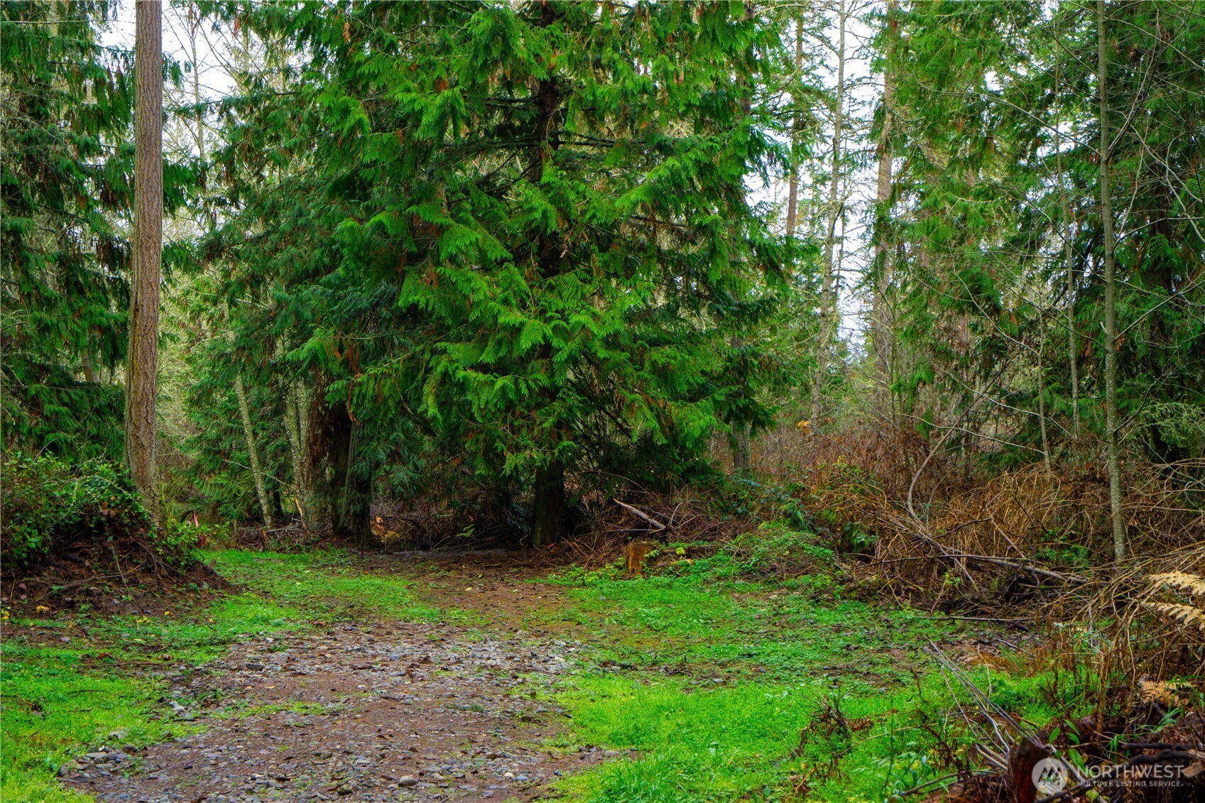 -nka Atterberry Road Sequim, WA 98382 - Photo 23 of 31 a view of a yard