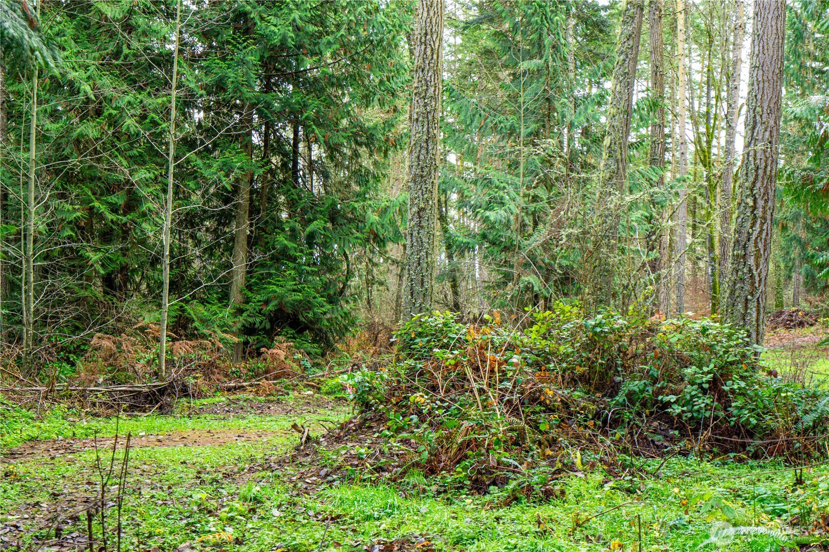 -nka Atterberry Road Sequim, WA 98382 - Photo 25 of 31 a view of a garden