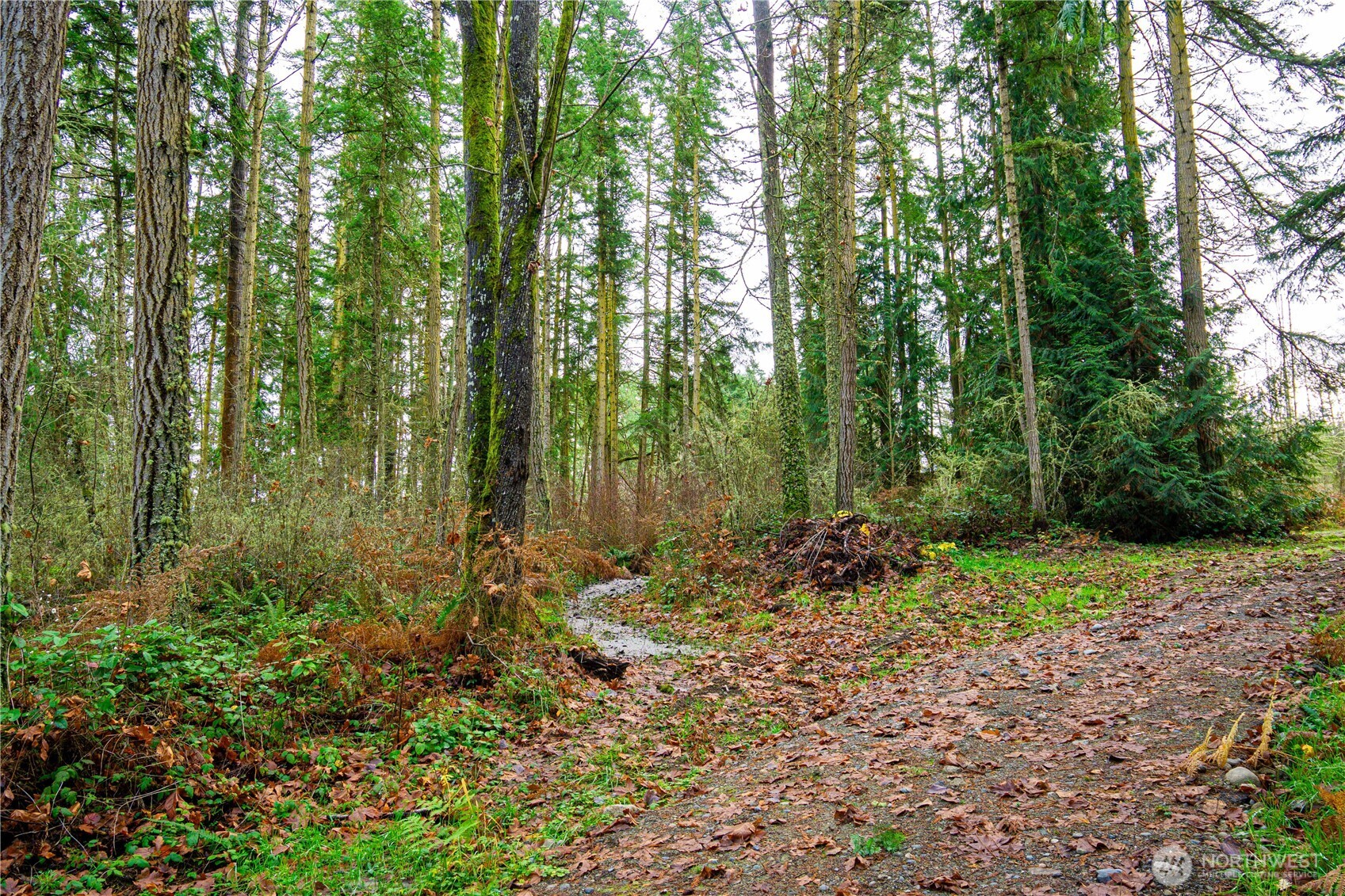 -nka Atterberry Road Sequim, WA 98382 - Photo 27 of 31 a backyard of a house with lots of green space
