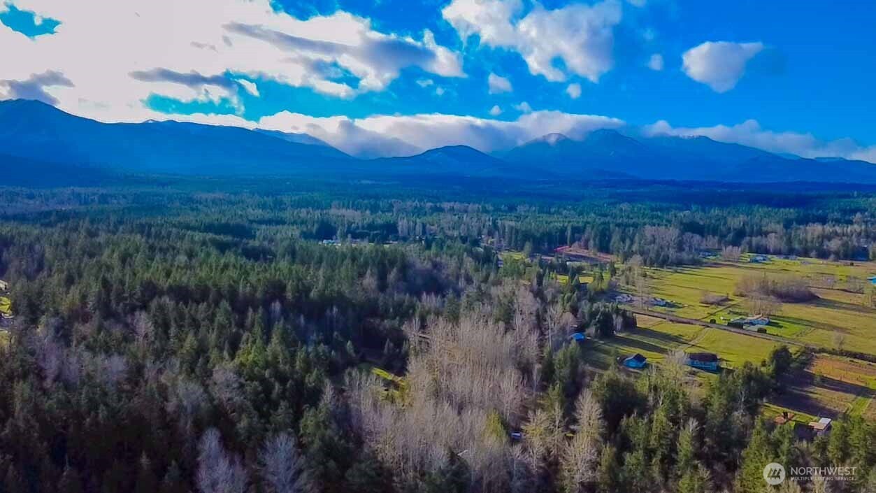 -nka Atterberry Road Sequim, WA 98382 - Photo 28 of 31 a view of a city