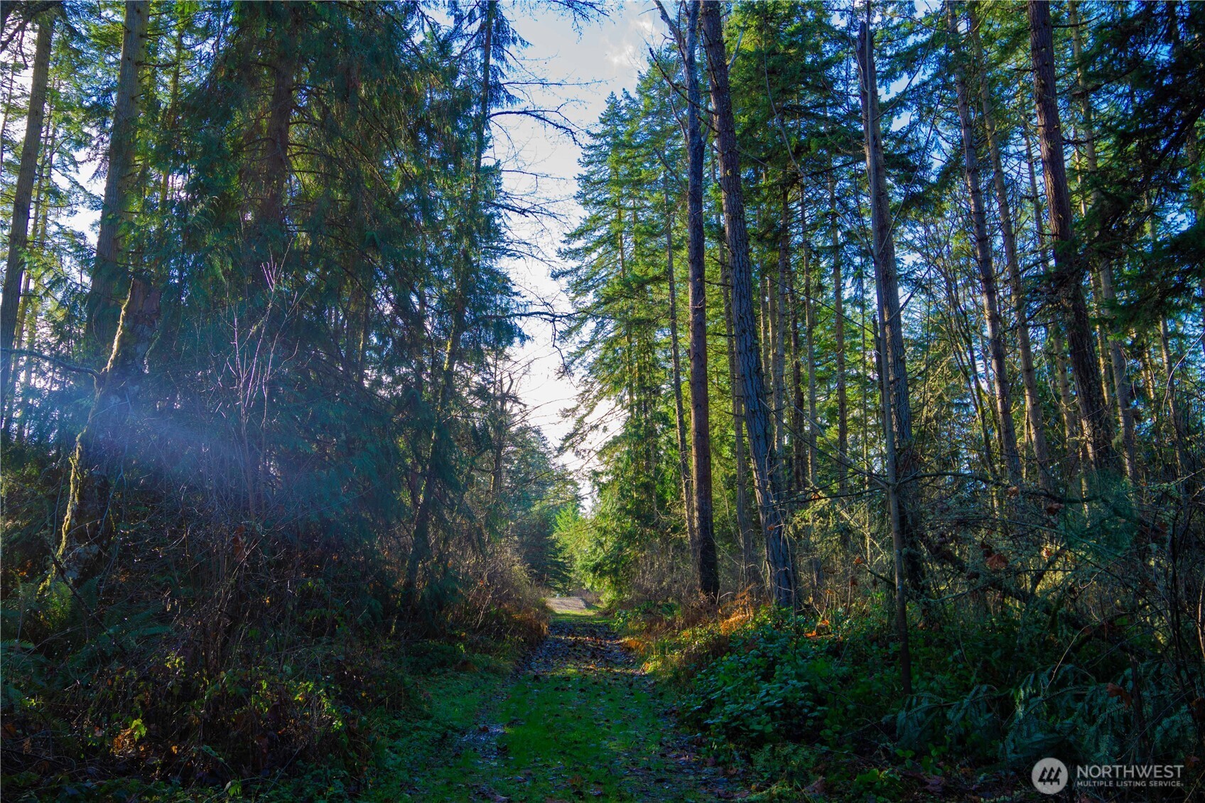 -nka Atterberry Road Sequim, WA 98382 - Photo 5 of 31 a view of outdoor space and yard