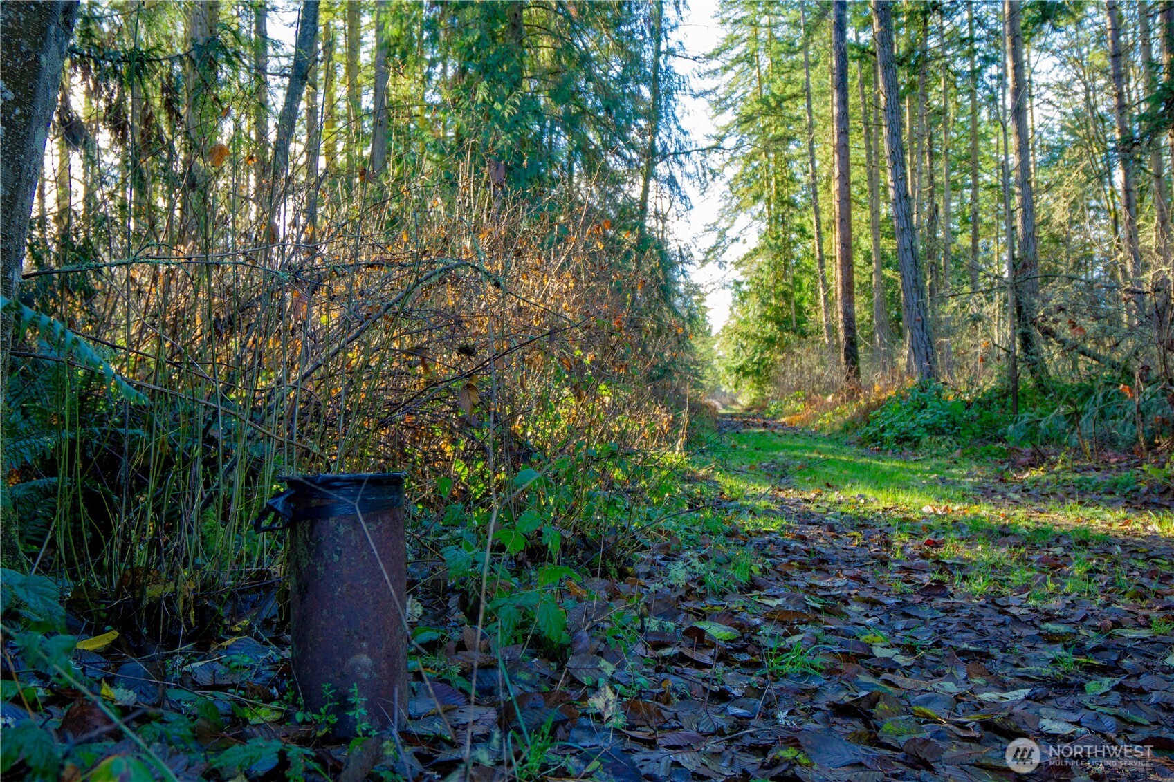 -nka Atterberry Road Sequim, WA 98382 - Photo 9 of 31 a view of a garden with plants