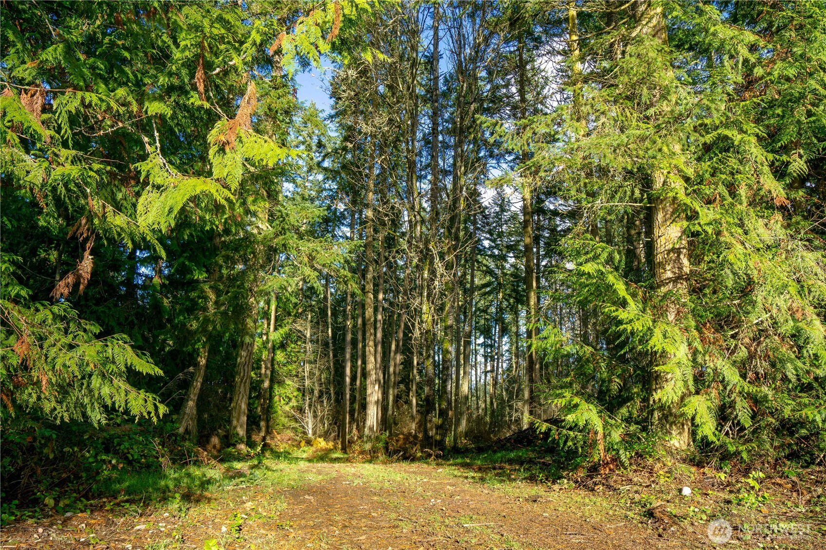 -nka Atterberry Road Sequim, WA 98382 - Photo 10 of 31 a view of wooden fence