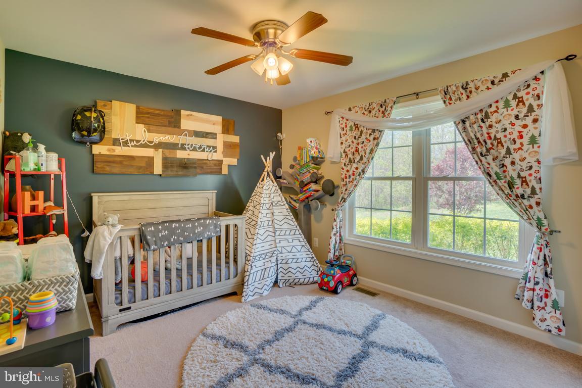 21109 Old Mill Road Culpeper, VA 22701 - Photo 29 of 40 Gallery Image 29