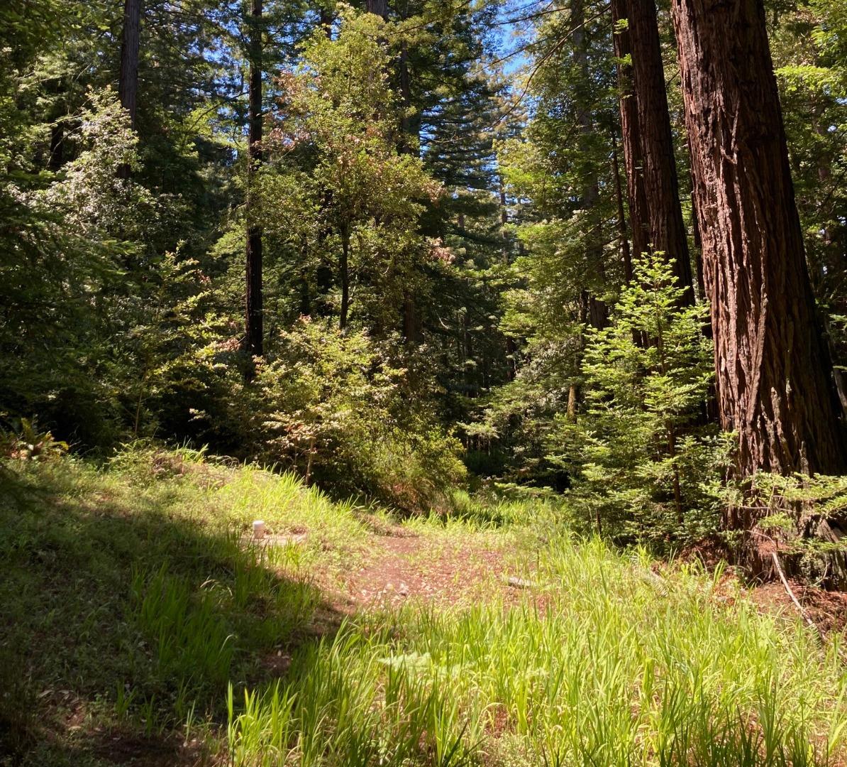 0 Native Sons Road Redwood City, CA 94062 - Photo 1 of 5 Gallery Image 1