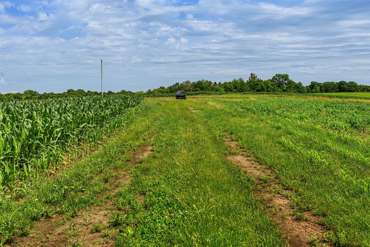 0 North Lyster Road Readstown, WI 54652 - Photo 11 of 30 12