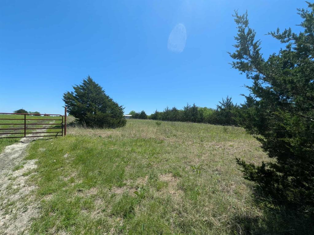 11008 County Road 670 Blue Ridge, TX 75424 - Photo 4 of 17 Clearing is perfect for a homesite. The gate to the left is the neighboring property