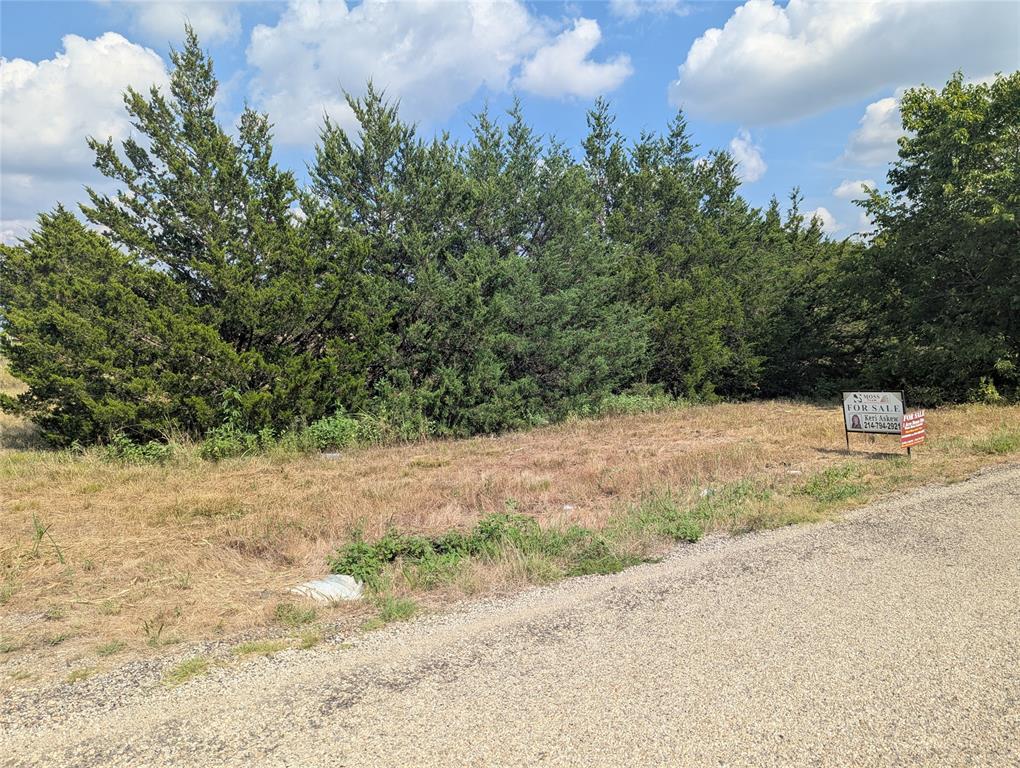 11008 County Road 670 Blue Ridge, TX 75424 - Photo 5 of 17 From CR 670, There is more to the property behind this row of trees.