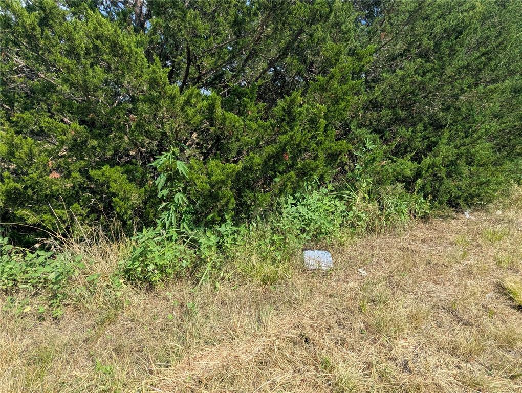 11008 County Road 670 Blue Ridge, TX 75424 - Photo 6 of 17 View from northwest corner of property with a Water Meter
